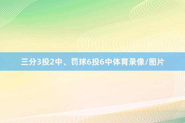 三分3投2中、罚球6投6中体育录像/图片