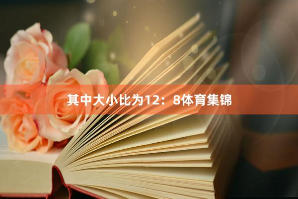 其中大小比为12:8体育集锦