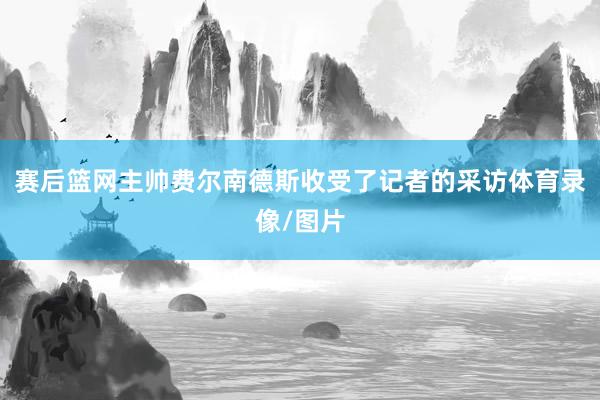 赛后篮网主帅费尔南德斯收受了记者的采访体育录像/图片