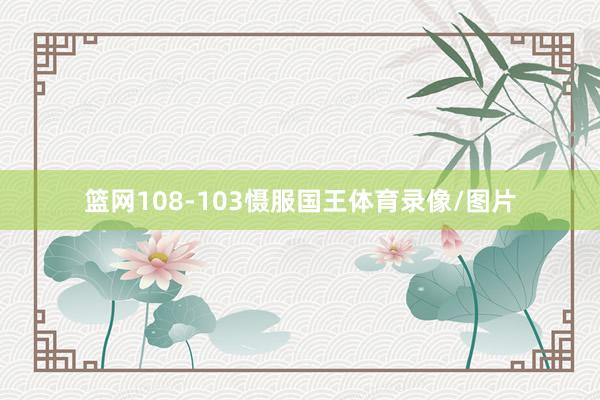 篮网108-103慑服国王体育录像/图片