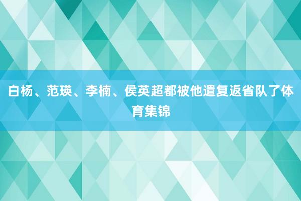 白杨、范瑛、李楠、侯英超都被他遣复返省队了体育集锦