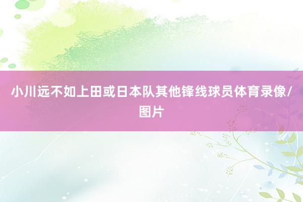 小川远不如上田或日本队其他锋线球员体育录像/图片