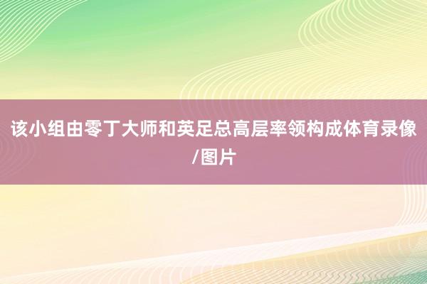该小组由零丁大师和英足总高层率领构成体育录像/图片
